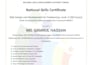 build responsive websites with react next js tailwind CSS